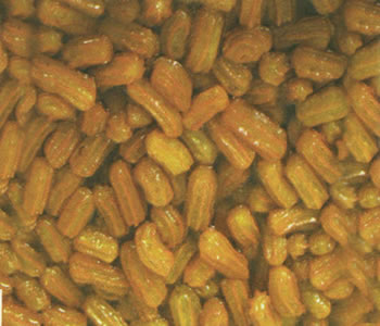 زولبيا 